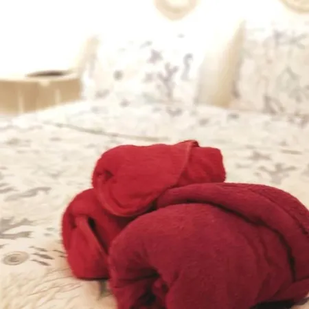 Ampio Mare Ca Domus Collection Appartamento *