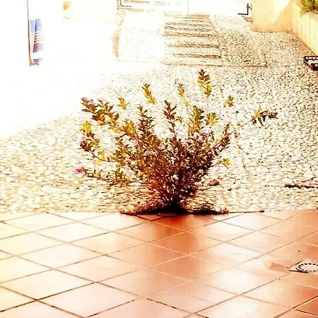 Ampio Mare Ca Domus Collection