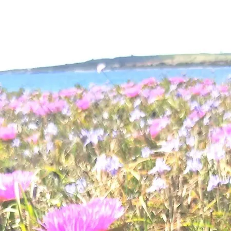 Ampio Mare Ca Domus Collection * Putzu Idu